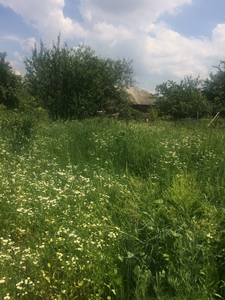 Продажа прекрасного участка Святопетровское #1685485