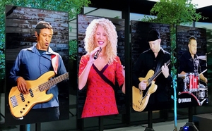 Аренда плазменных панелей. #1687123