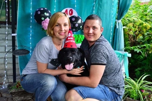 Снимем 1к квартиру в Песочине,  Мобиль #1687249