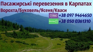 Трансфер в Карпати/таксі Карпати/автобус Буковель/Ворохта/Кваси #1687866