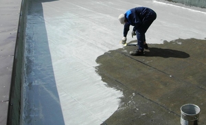 Жидкая мембрана: гидроизоляция. #1688027