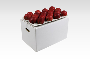 Бушель под яблоко  от производителя  #1689331