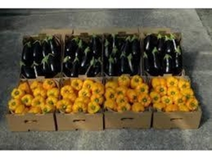 Картонный лоток под овощи по оптовым ценам  #1689329