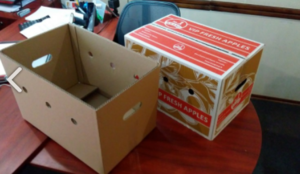 Лоток яблочный по оптовым ценам  #1689330