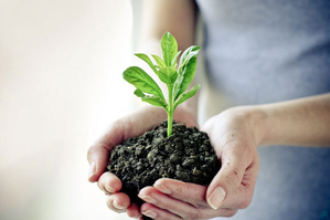 Куплю средства защиты растений,  гербициды,  фунгициды #1689785