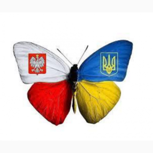 Вакансия СОРТУВАННЯ саджанців клубники в Польщi #1690668