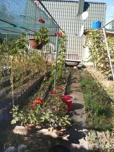 Продам дачу с пасекой на Лутугинском водохранилище #1692229