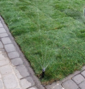 Автоматический полив в Одессе недорого #1690586