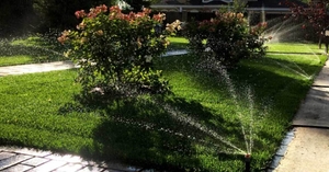 Автоматический полив,  автополив цена Одесса #1690752