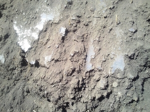 Продаем  качественный  грунт в Днепре  #1690651