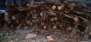 Дрова,  дёшево. Доставка. #1695564