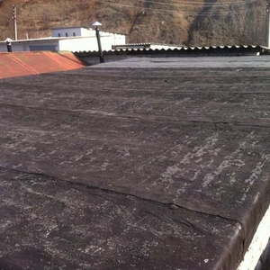 Ремонт крыши. Мягкая кровля. Днепр и область #1695493