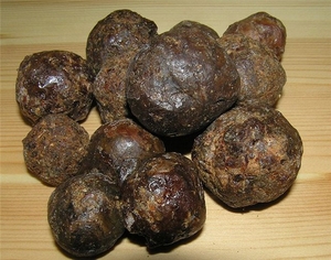 Прополис #1693938