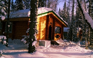 Домики с баней Буковель,  Карпаты,  Поляница #1697266