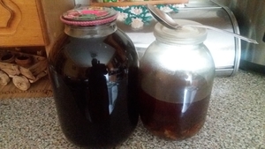 Бобровая струя #1673734