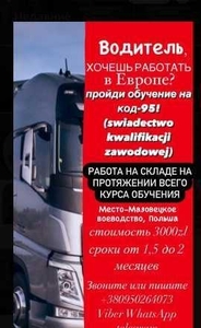 Курс на код-95 в Польше #1696574