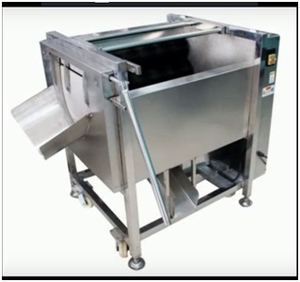 Вега МР 300 машина для мойки овощей (корнеплодов) #1697093