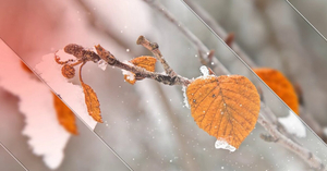 Срочная аренда,  сдам на любой #1696229