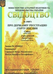 Посадимо сад волоського горіха #1695653