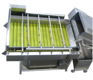 Вега BV 1500 машина для мойки овощей и фруктов (деликатная мойка) #1696832