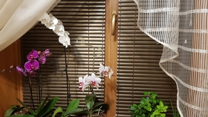 Недорого пластиковые окна. #1699499