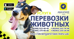 Такси,  трансфер,  междугородние перевозки #1701569