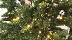 Лот 02-0409,  Ялинки 2 шт,  вес 10 кг #1699889