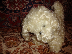 Продам собаку мягкую игрушку,    #1701141
