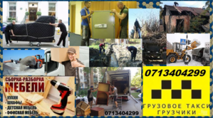 Перевозки грузов вещей мебели техники Переезд Грузчики грузовое такси Донецк #1552610