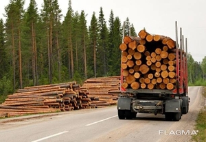 Услуги лесовоза,  полуприцепа Чернигов,  недорого #1700523