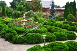 Ландшафтный дизайн от «Green Angels». Озеленение. #1702131