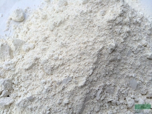 Глина Каолин молотая,  пакет 1 кг #1702349