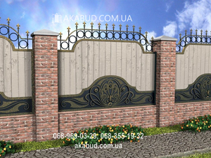 Художественная ковка Кривой Рог. Ворота,  навесы,  решетки,  козырьки,  калитки #1703507