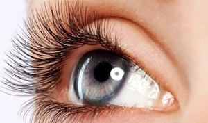 Онлайн курс ламинирование + ботокс ресниц и бровей #1704560