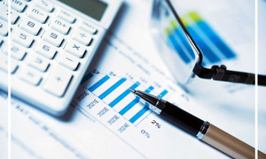 ФОП, СПД, ТОВ, ООО, ФЛП Регистрация Поддержка Бухг Налоговый Учет Отчёты Аудит #1704627