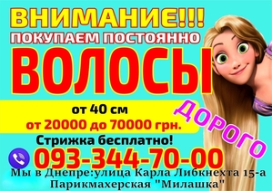 Куплю волосы в Днепре .Дорого.Стрижка бесплатно #1704915