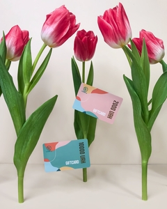 Подарунковий сертифікат в салон лазерної епіляції у Львові TK Laser #1704607