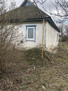 Участок 40 соток,  газ,  свет,  интернет,  скважина в Киевской обл #1706324