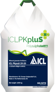 ICL PKpluS 20-20 (+2MgO+15CaO+14SO3) ||| Агро центр «B&S Product» #1705872