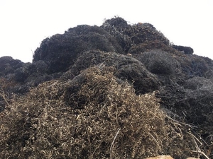 Приём стальной и чугунной стружки. #1706964