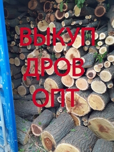 Закупаем дрова #1707350