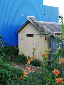 Продам курень на причале 218 (Крыжановка) #1708056