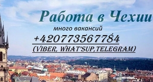 Работа в Чехии (много вакансий) #1708609