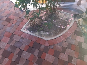 Тротуарная плитка 