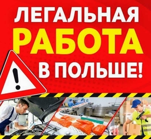 Работа в Польше без посредников #1710703