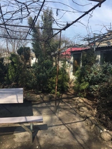 Продам уютный одноэтажный дом на Слободке с участком 12 соток #1709758