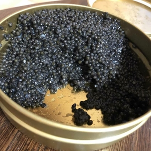 Икра стерляди. Икра осетровая. Тушки осетра. #1711513
