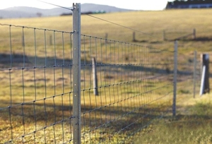 Сетка металлическая Казачка облегченная #1711775