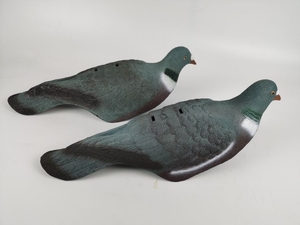 Чучела голубя,  вяхиря. Вяхирь ракушка,  полукорпус #1712448