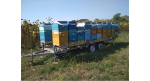 Прицеп под пасеку Лев #1715121